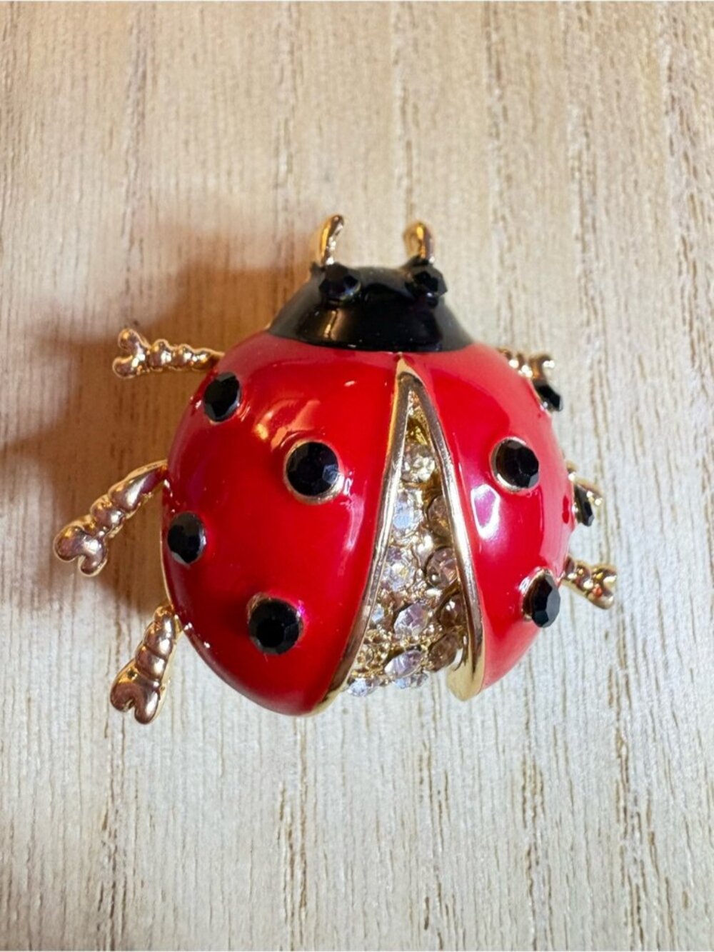 Red and Black Ladybug Brooch with Crystals - Picture 2 of 6